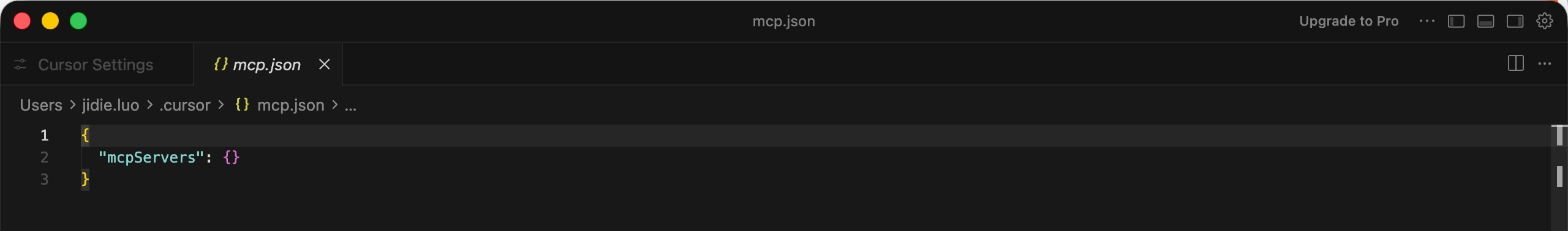初始 mcp.json 文件